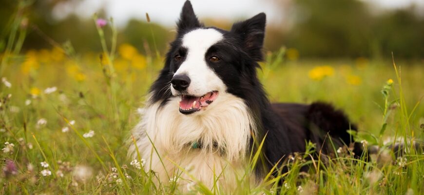 хтозна коли