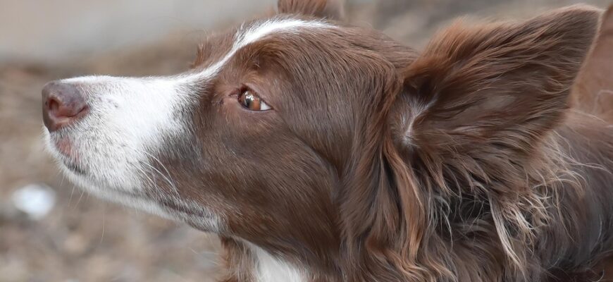 Коли прийде запрошення на НМТ: все, що потрібно знати абітурієнтам у 2023 році