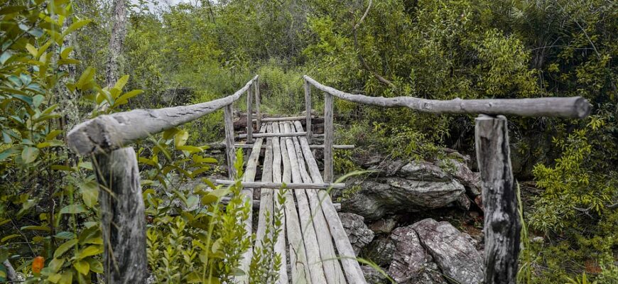 сценарій новорічного свята на сучасний лад для дорослих