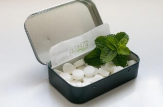 котяча мʼята користь і шкода