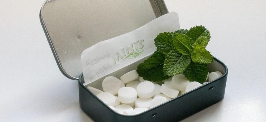 котяча мʼята користь і шкода