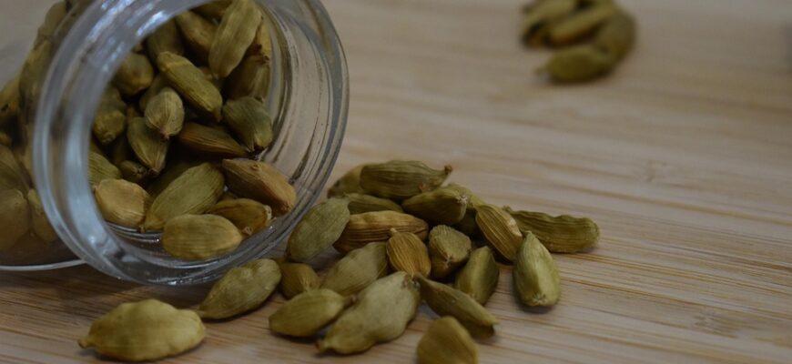 кардамон користь і шкода