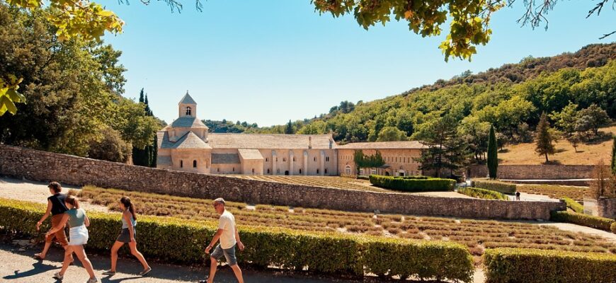 лаванда користь і шкода