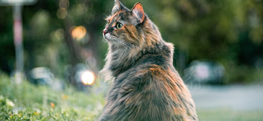 усього на всього