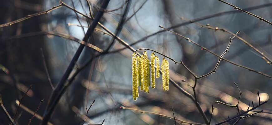 що означає сережка в правому вусі дівчини