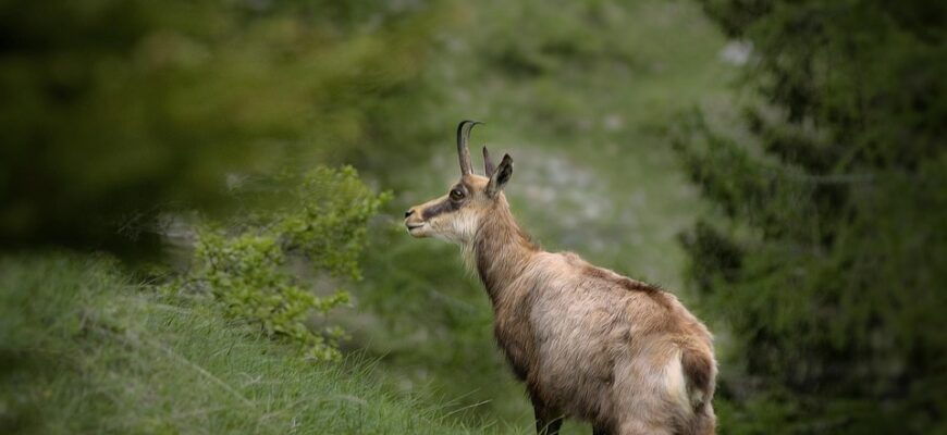 10 років весілля