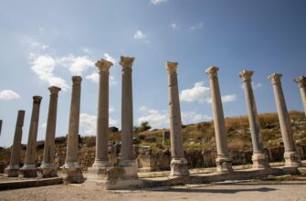 перга користь і шкода