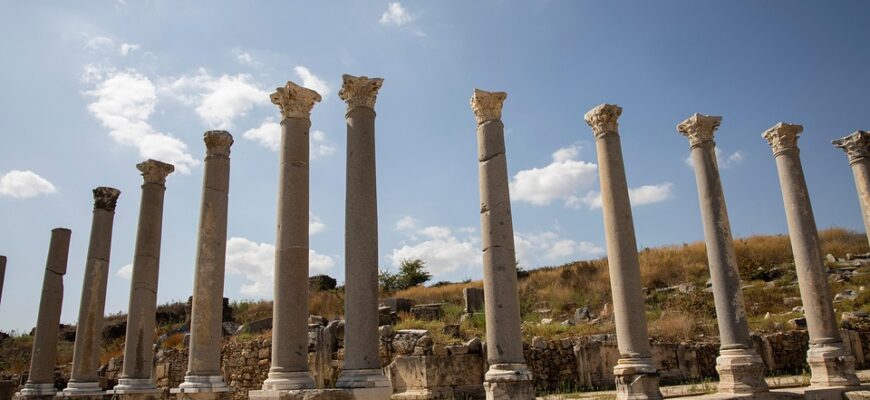 перга користь і шкода