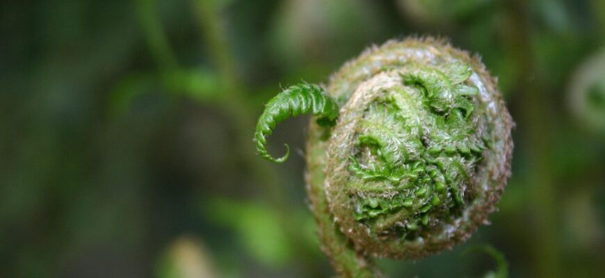 крилаті вислови приклади