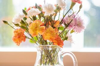 гвоздика користь і шкода