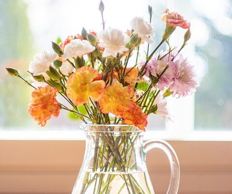 гвоздика користь і шкода