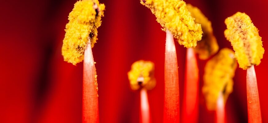 що означає смайлик