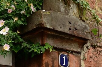 що означає номер перенесено