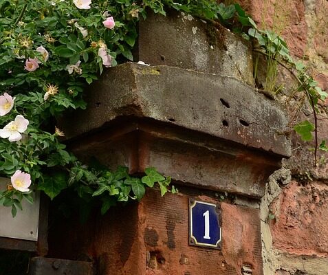 що означає номер перенесено