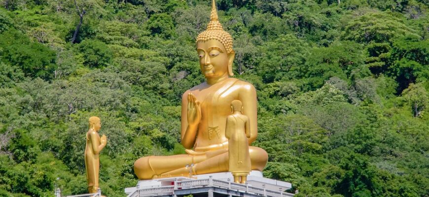 настоянка глоду користь і шкода