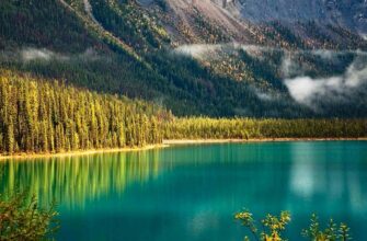 вислови про мир для дітей