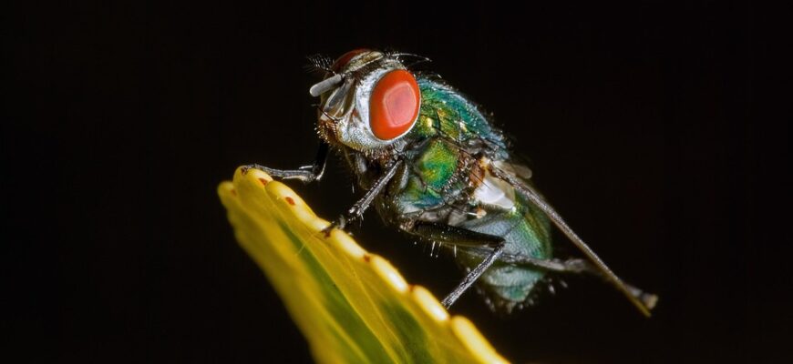 10 років весілля