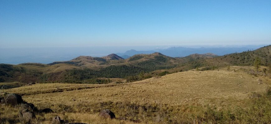 сценарій на миколая казка оживає