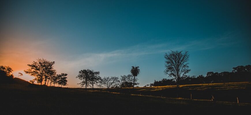 сценарій випускного