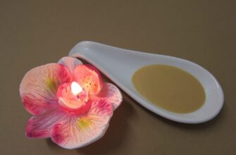 лецитин соєвий користь і шкода