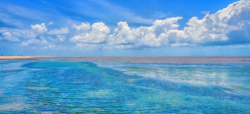 сценарій різдвяного свята в дитячому садку