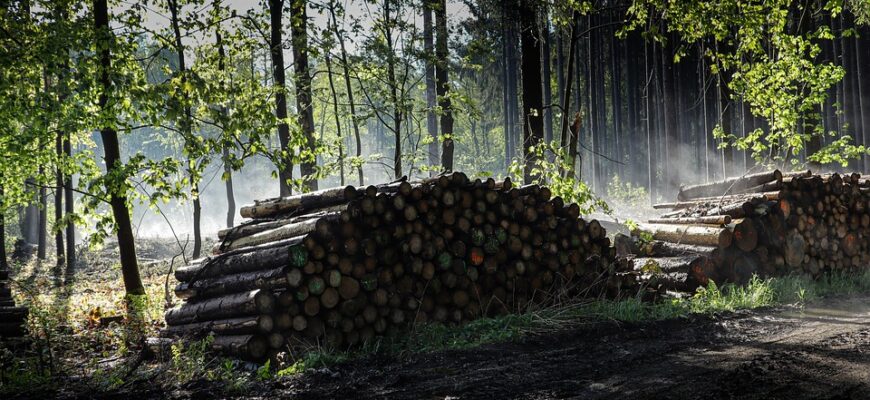 вислови сократа