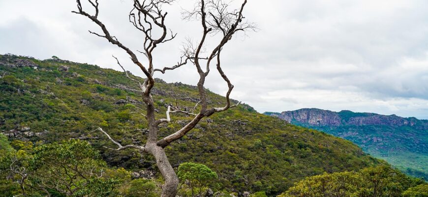 сценарій до нового року