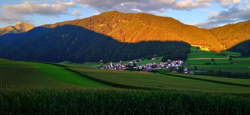 сценарій свята золота осінь
