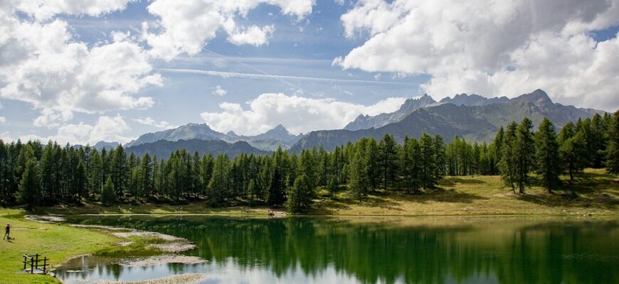 сценарій до дня села