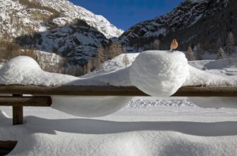 сценарій до дня вчителя смішний