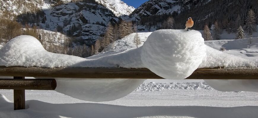 сценарій до дня вчителя смішний