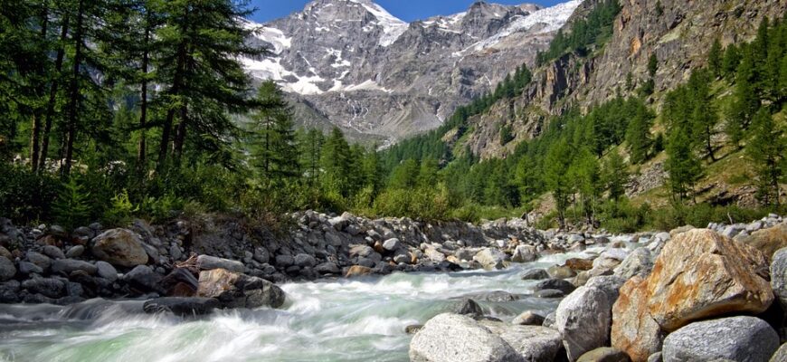 сценарій свята осені молодша група