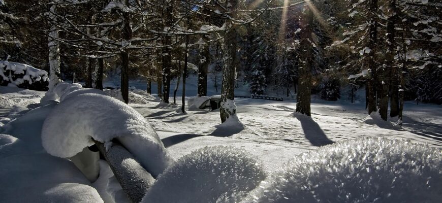 сценарій казкиʼʼ до свята миколая