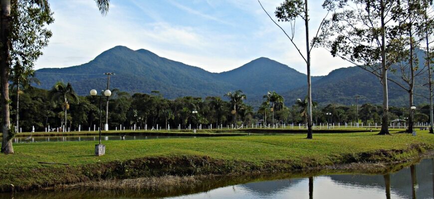 сценарій на новий рік