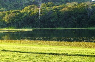 сценарій ювілею жінки 60 років
