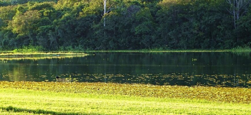 сценарій ювілею жінки 60 років