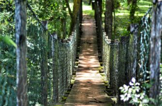 сценарій до дня незалежності