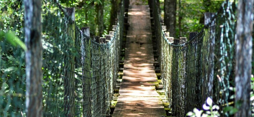 сценарій до дня незалежності