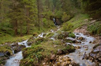 сценарій новорічного свята старша група