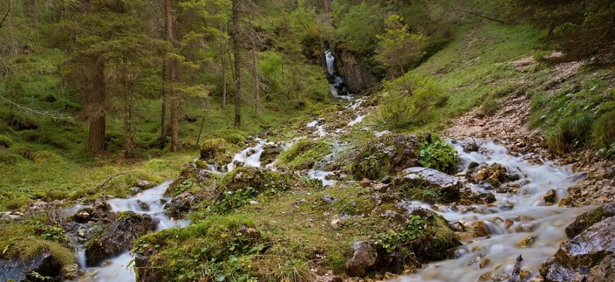 сценарій новорічного свята старша група