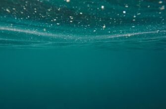 газована вода користь і шкода