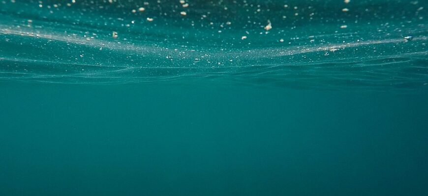 газована вода користь і шкода