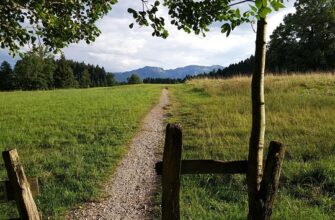 що означає exp на упаковці