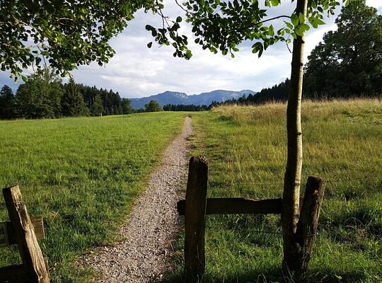 що означає exp на упаковці