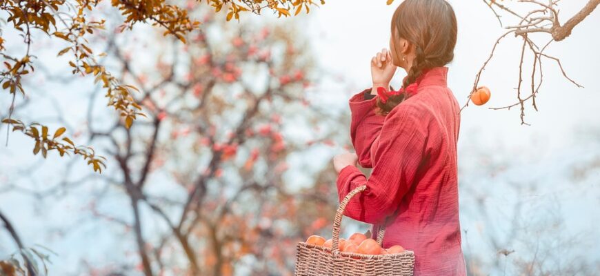 хурма користь і шкода