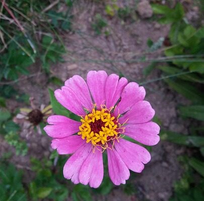 вислови про літо