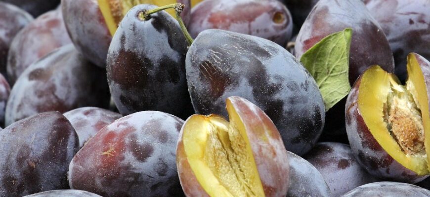 сливи користь і шкода