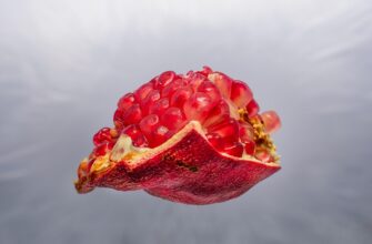 гранатовий сік користь і шкода