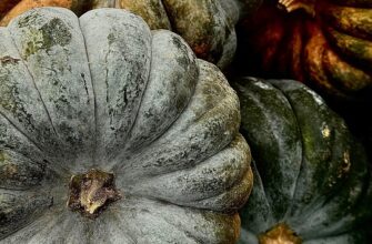 Запрошення на весілля шаблон: Ідеї та приклади для вашого святкового дня