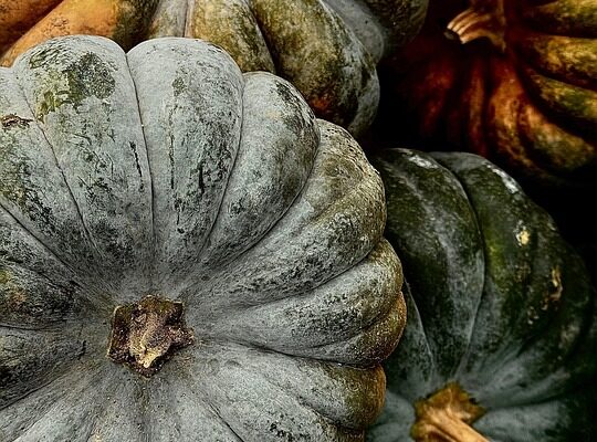 Запрошення на весілля шаблон: Ідеї та приклади для вашого святкового дня